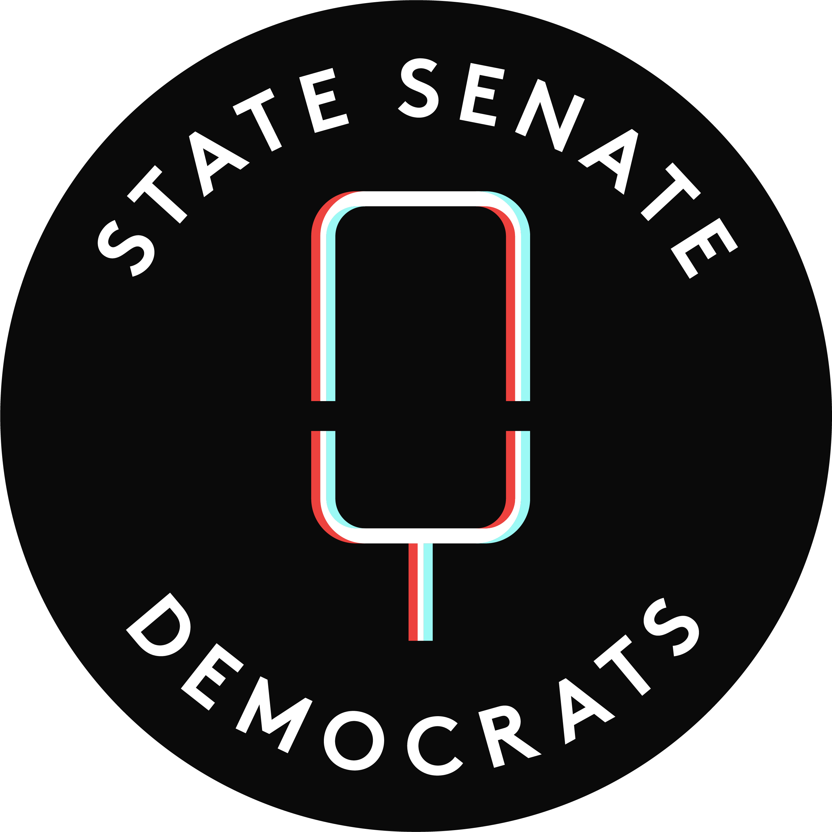 New York State Senate Democratic Conference Logo Option 6